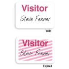 TIMEbadge Expiring One Day Visitor Badge FRONTpart - 12 up displays a sheet containing twelve badges, each marked with the word "Visitor" in bold pink letters above the name "Steve Fenner," with the top row labeled "Valid" and the bottom row showing a pin