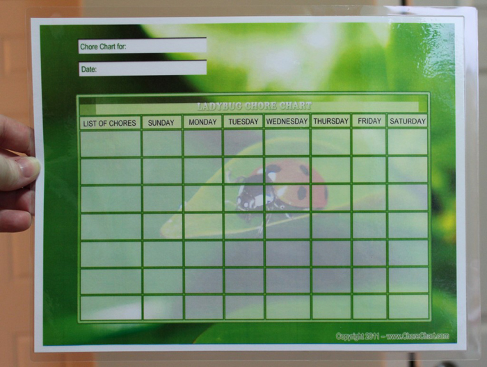 chore-charts-bm-content-3