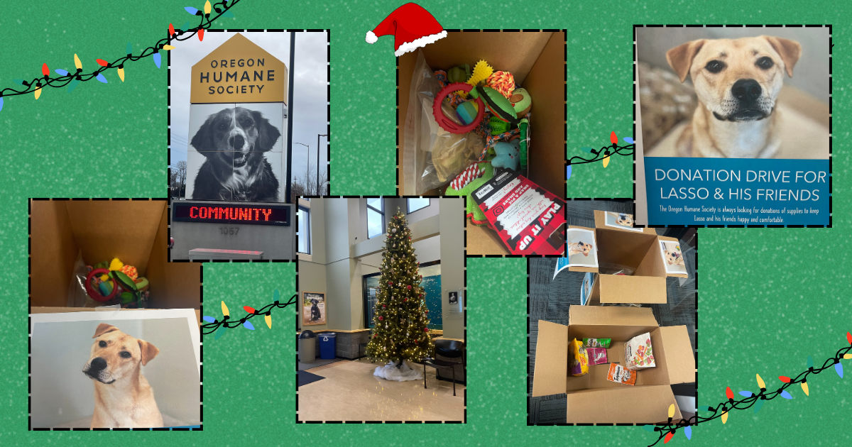 Donation Drive Pictures of Lasso and Friends at the Oregon Humane Society